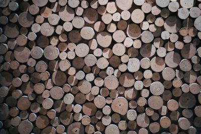 Full frame shot of logs in forest