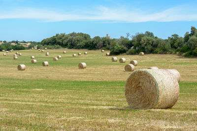 Hay bales on field against sky