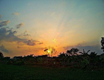 Scenic view of field against sky at sunset