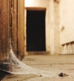 Close-up of spider web at abandoned building