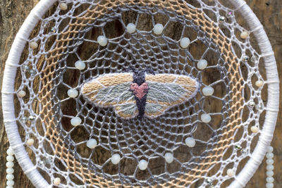 Close-up of dreamcatcher hanging outdoors