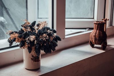 Close-up of potted plant on window sill