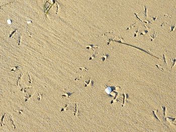 View of sandy beach