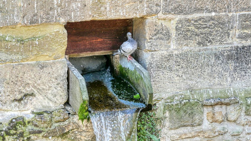 Fountain against wall