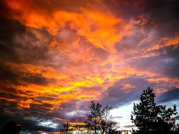 Low angle view of silhouette trees against dramatic sky