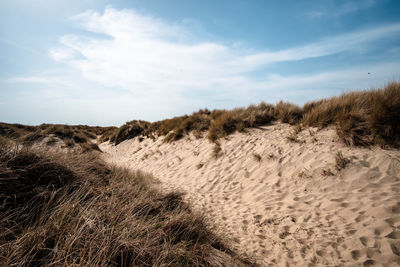 Sand dunes in desert against sky