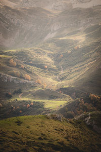 High angle view of field