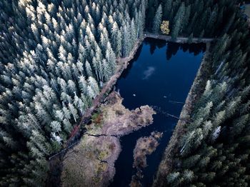 High angle view of plants by sea against sky