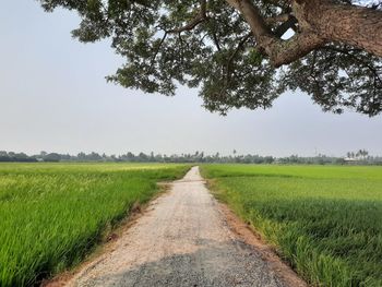 Road amidst field against sky