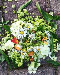Close-up of flowers blooming outdoors