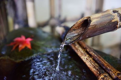Close-up of water pouring from shishi-odoshi