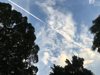 Low angle view of silhouette trees against sky