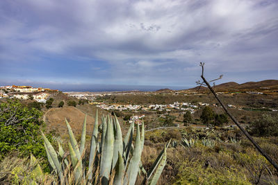 High angle view of plants on land against sky