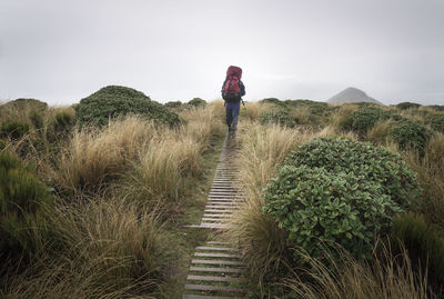 Rear view of man standing on grass against sky