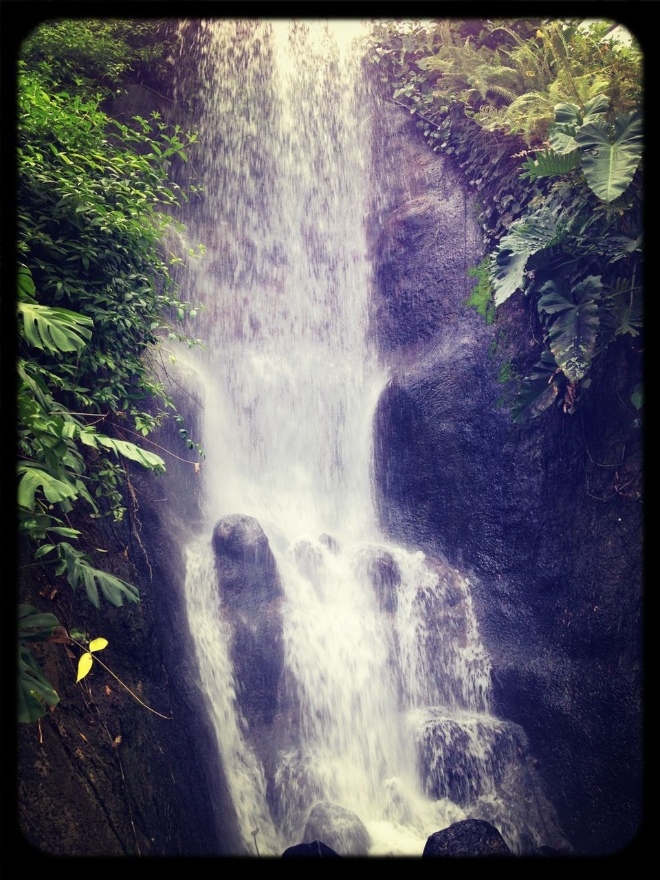 water, waterfall, motion, flowing water, long exposure, flowing, beauty in nature, rock - object, forest, scenics, surf, nature, splashing, blurred motion, tree, power in nature, rock formation, transfer print, idyllic, auto post production filter