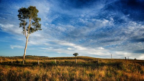 Scenic view of grassy field against cloudy sky