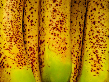 Full frame shot of banana