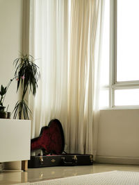 Flower vase on table against window at home