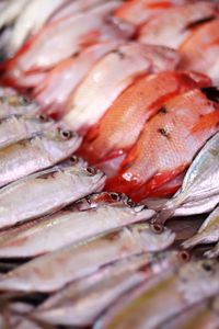 Close-up of fish for sale in market