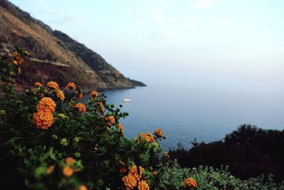 Scenic view of sea and mountains against sky