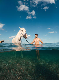 Happy horse in the water