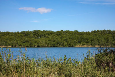 Scenic view of lake and trees against sky