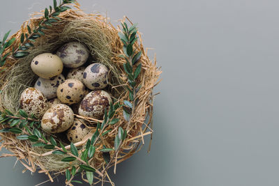 Close-up of eggs in nest