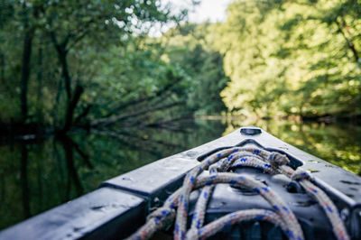 Close-up of vehicle on land against trees in forest
