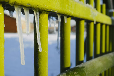 Close-up of wet yellow metal