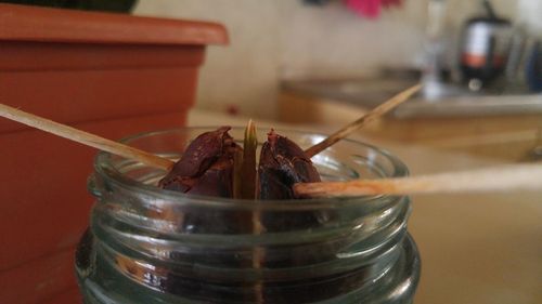 Close-up of drink on table