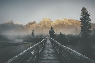 Walkway amidst trees against sky