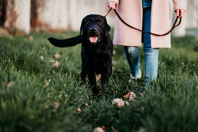 Midsection of woman with dog on field