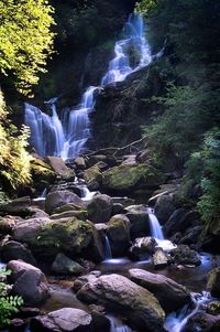 View of waterfall in forest