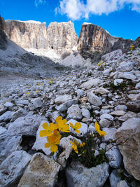 Scenic view of rocky mountains against sky