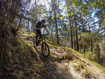 Man riding bicycle in forest