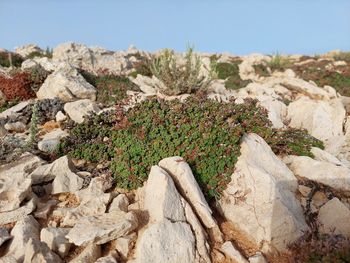 rock