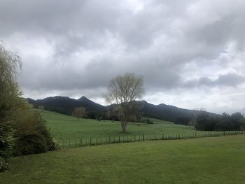 Scenic view of landscape against sky