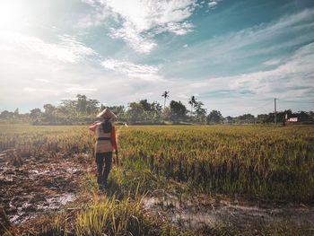 Rear view of man standing on rice fields