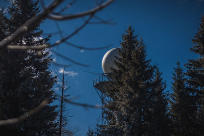 Low angle view of telephone pole against trees in forest