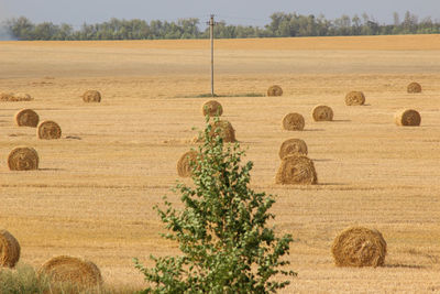 Hay bales on field against sky