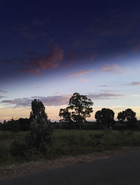 Silhouette trees on field against sky at sunset