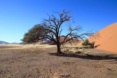 Scenic view of landscape against clear blue sky