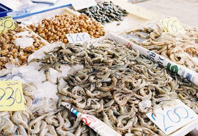 High angle view of fish for sale at market stall