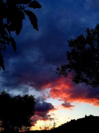 Low angle view of silhouette trees against sky