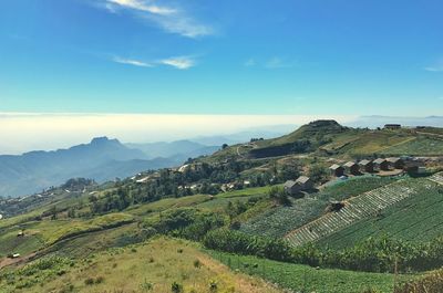 Scenic view of agricultural landscape against sky