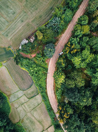 High angle view of trees growing in farm