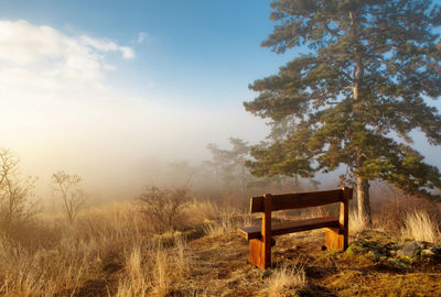 Empty bench on field against sky