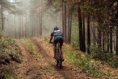 Cyclist on mountain bike riding uphill on forest trail in fog