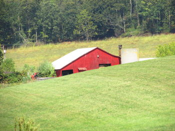 House on field against trees and plants