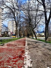 Surface level of road amidst trees and buildings in city